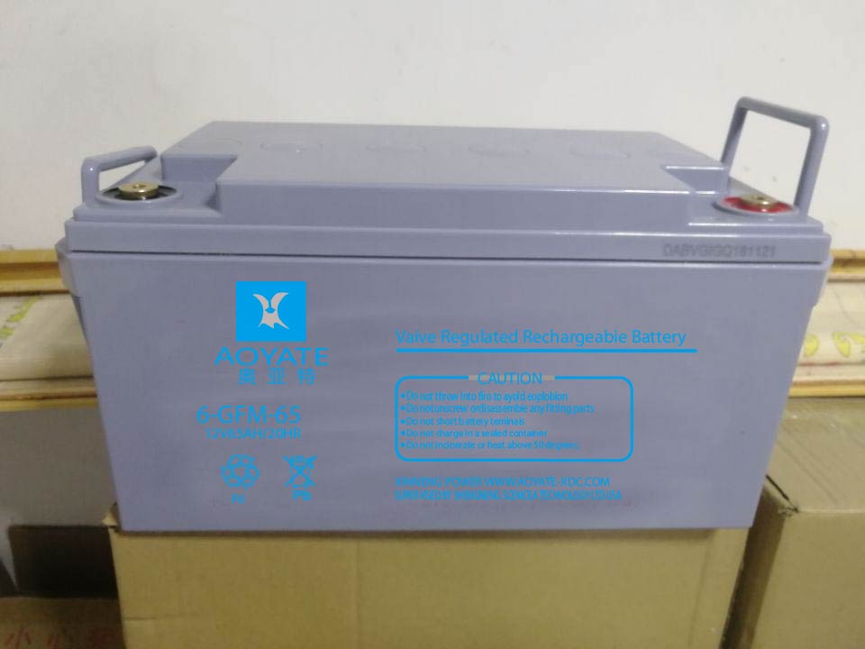 奥亚特12V65AH